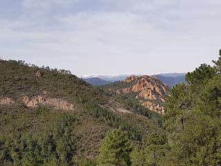 Cote D'Azur